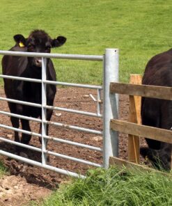 Grass Seed For Gateway Repair