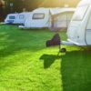 Campsite, Car & Caravan Park Grass Seed