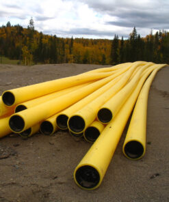 Grass seed for work site Repair and/or Reinstatement