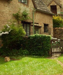 Cottage Lawn Seed With Clover