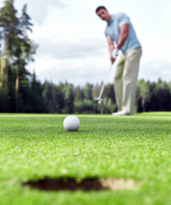 Grass Seed For A Golf Green