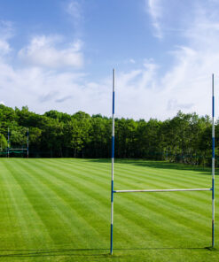 Rugby Field Sports Pitch Grass Seed Supplier