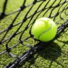 Tennis Court Grass Seed