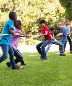 Heavy Duty Grass Seed Supplier